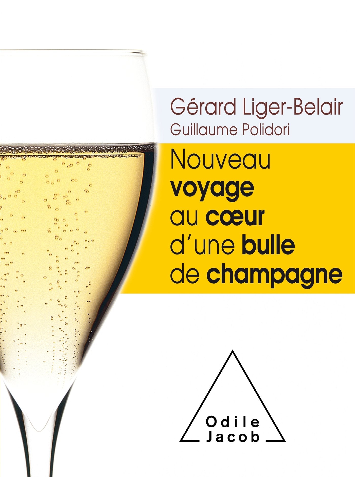 Nouveau voyage au coe ur d'une bulle de champagne book