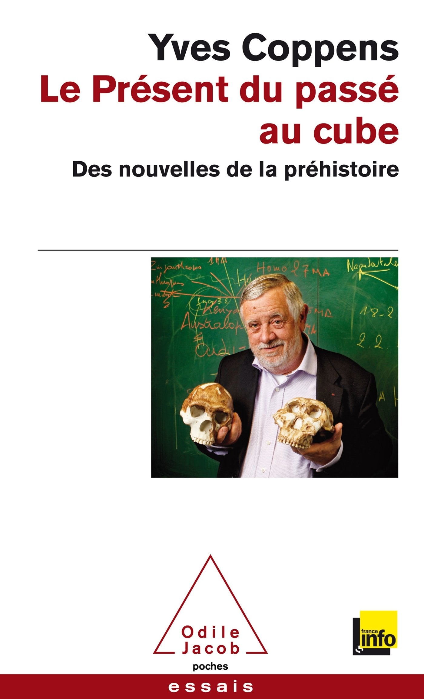 Le Présent du passé au cube: Des nouvelles de la préhistoire book
