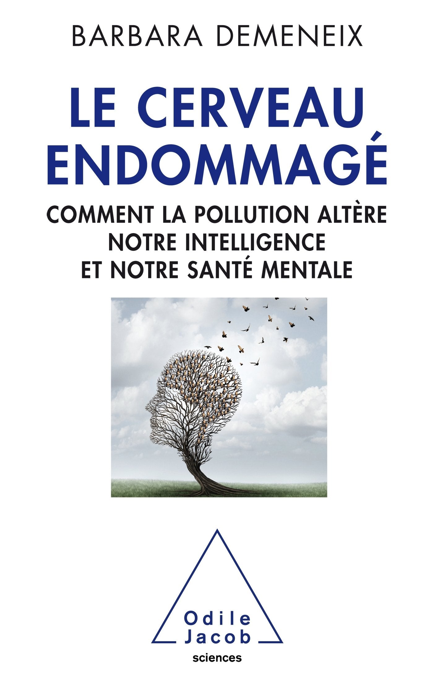 Le Cerveau endommagé: Comment la pollution altère notre intelligence et notre santé book