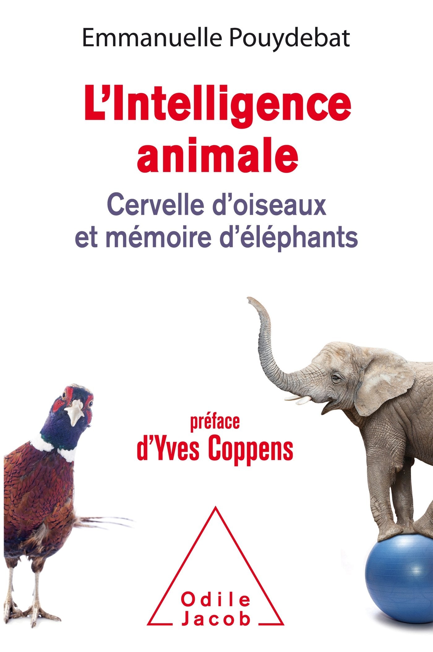 L'Intelligence animale: Cervelle d'oiseaux et mémoire d'éléphants Natural Sciences