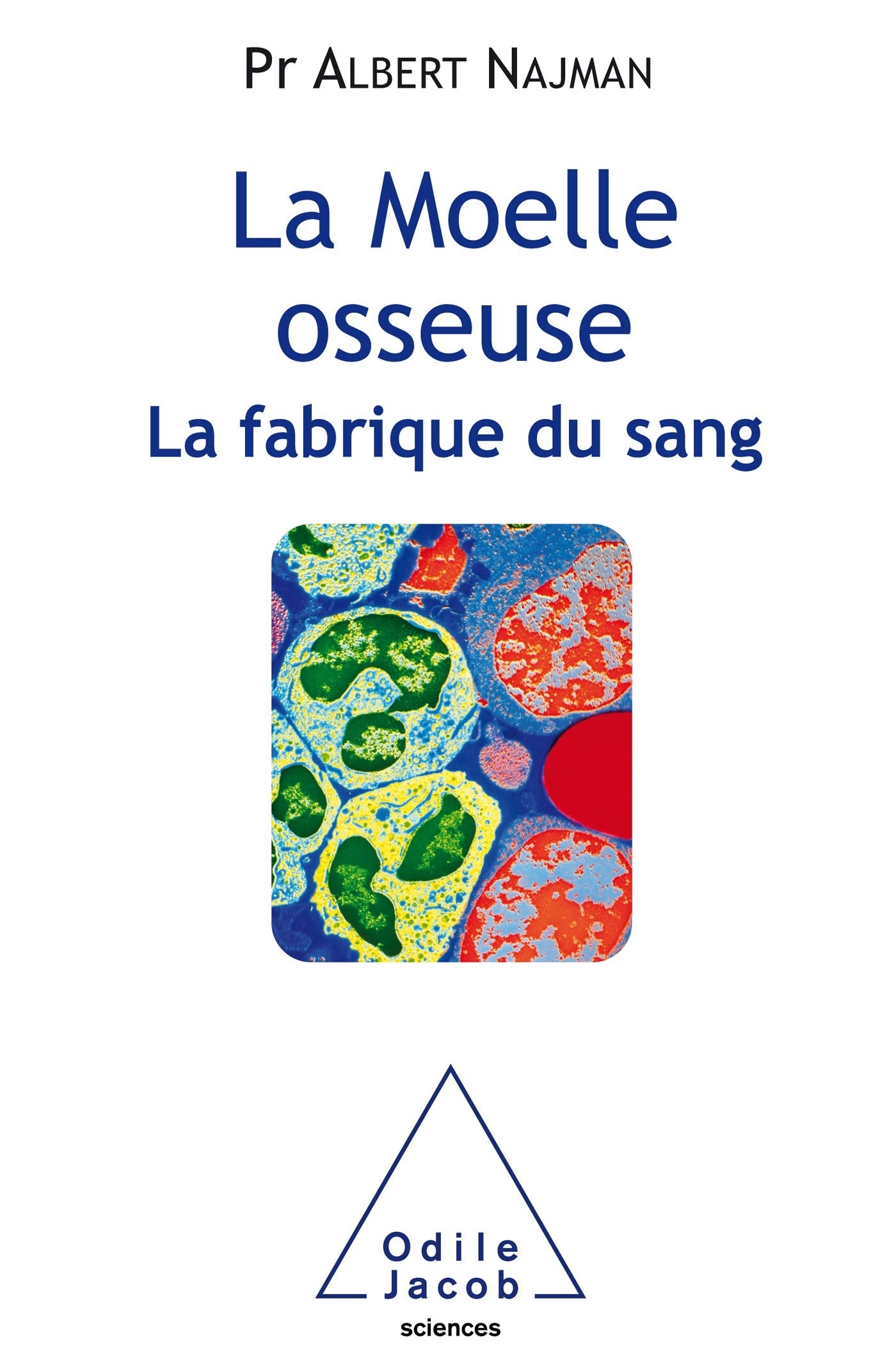 La Moelle osseuse, la fabrique du sang Natural Sciences