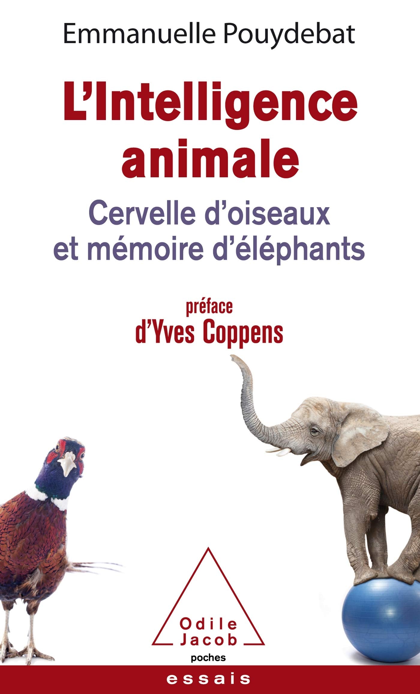 L'Intelligence animale: Cervelle d'oiseaux et mémoire d'éléphants Books