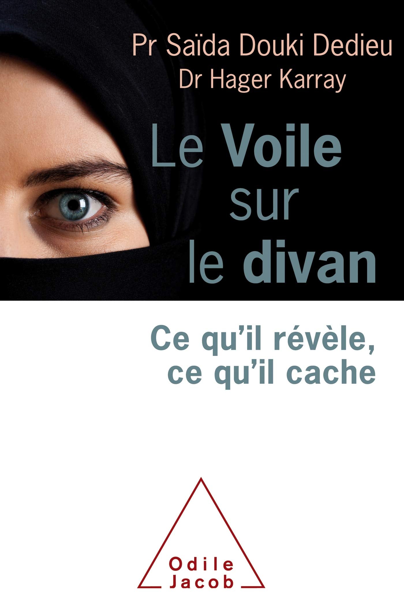 Le Voile sur le divan: Ce qu'il révèle, ce qu'il cache book