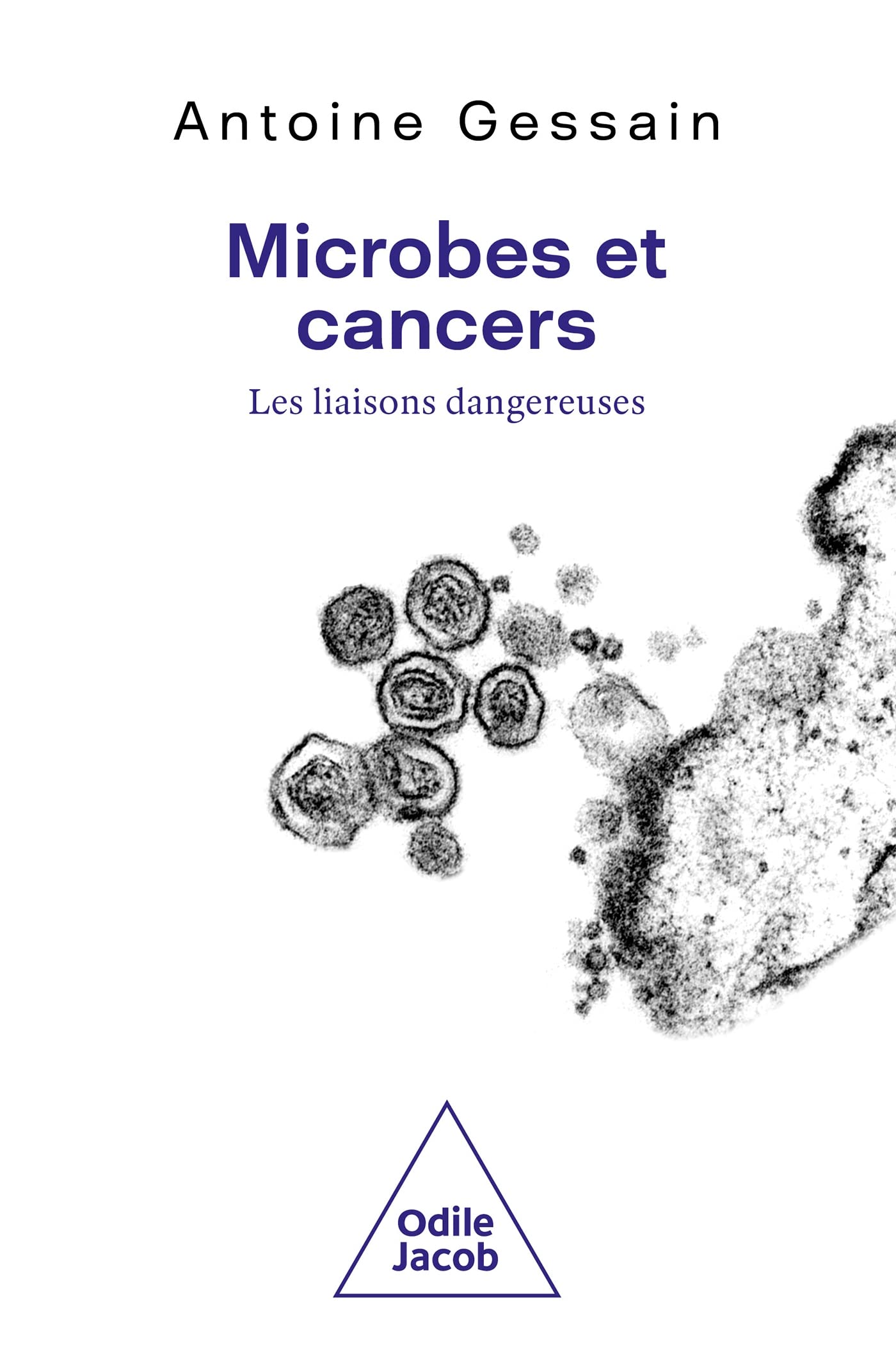 Microbes et cancers: Les liaisons dangereuses Natural Sciences