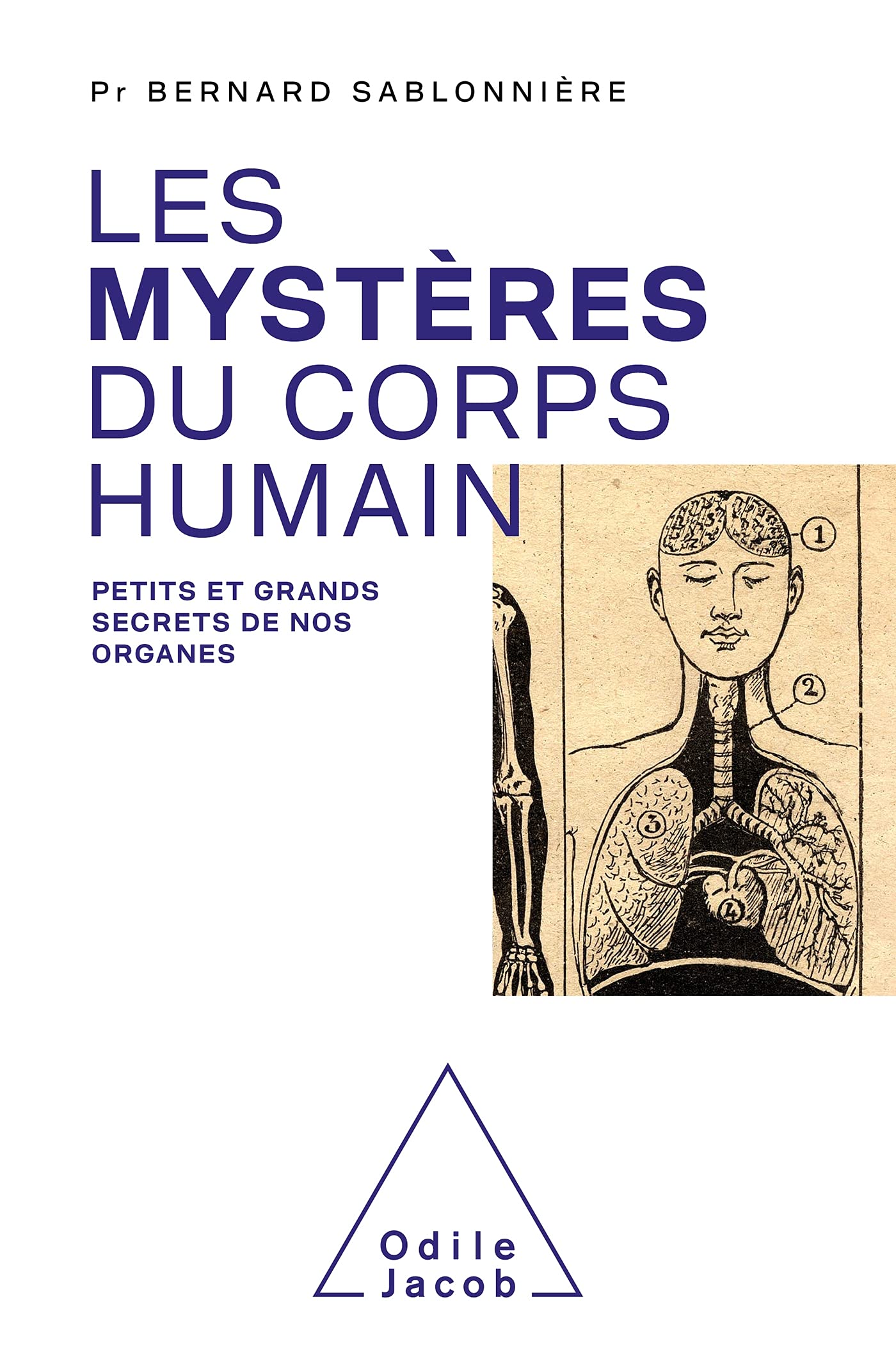 LES MYSTERES DU CORPS HUMAIN: Petits et grands secrets de nos organes Natural Sciences
