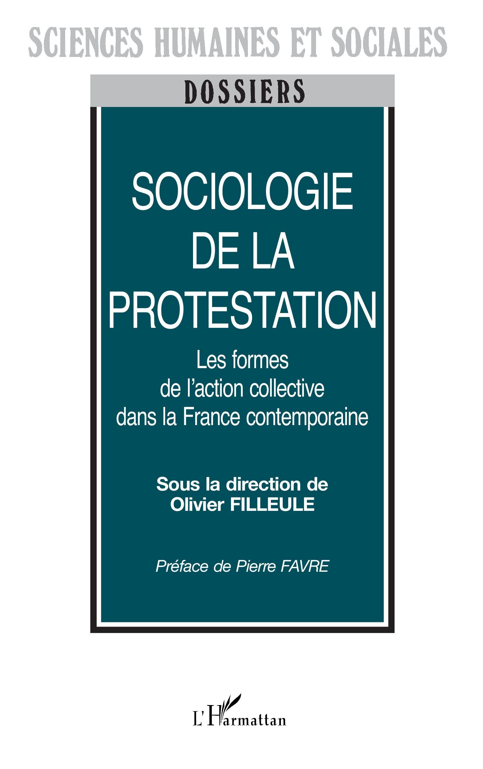 Sociologie de la protestation: Les formes de l'action collective dans la France contemporaine book