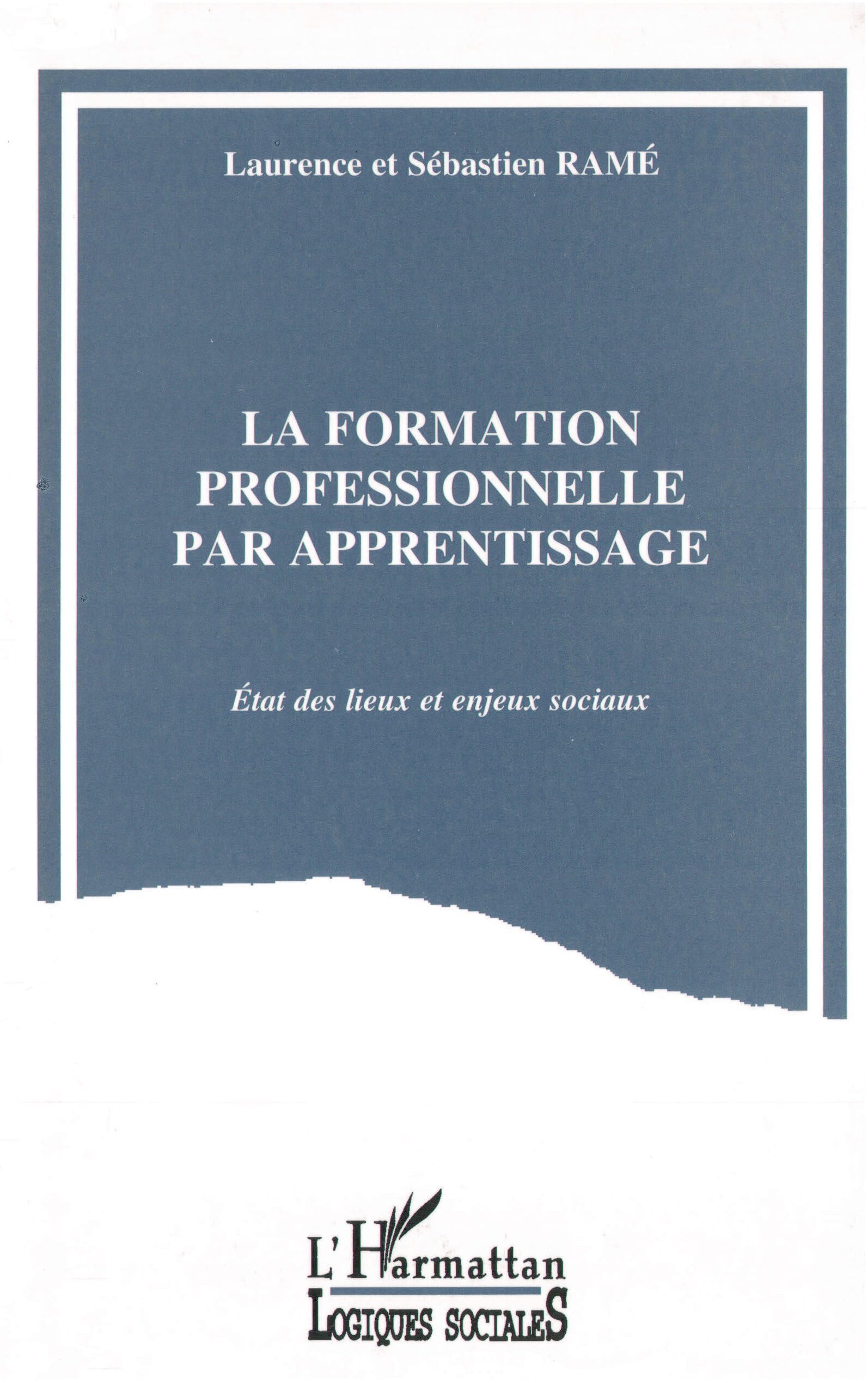 La formation professionnelle par apprentissage: Etat des lieux et enjeux sociaux book