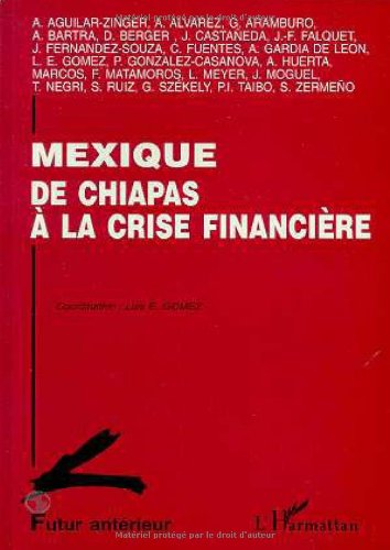 Mexique. De Chiapas à la crise financière book