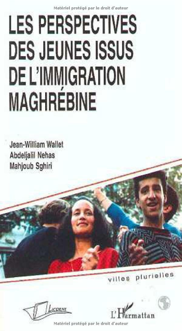Les perspectives des jeunes issus de l'immigration maghrébine Books