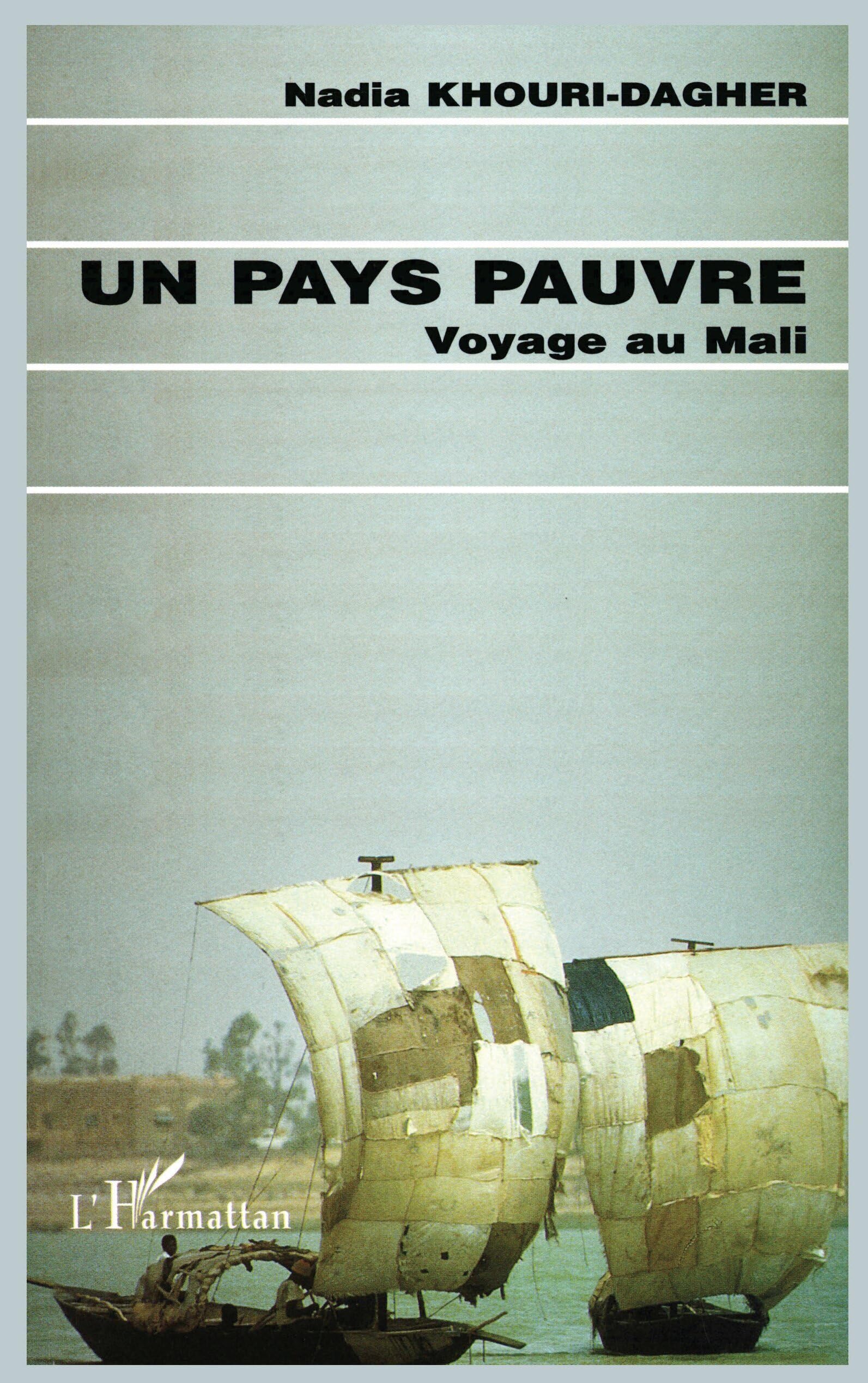 Un pays pauvre : Voyage au Mali Social Sciences