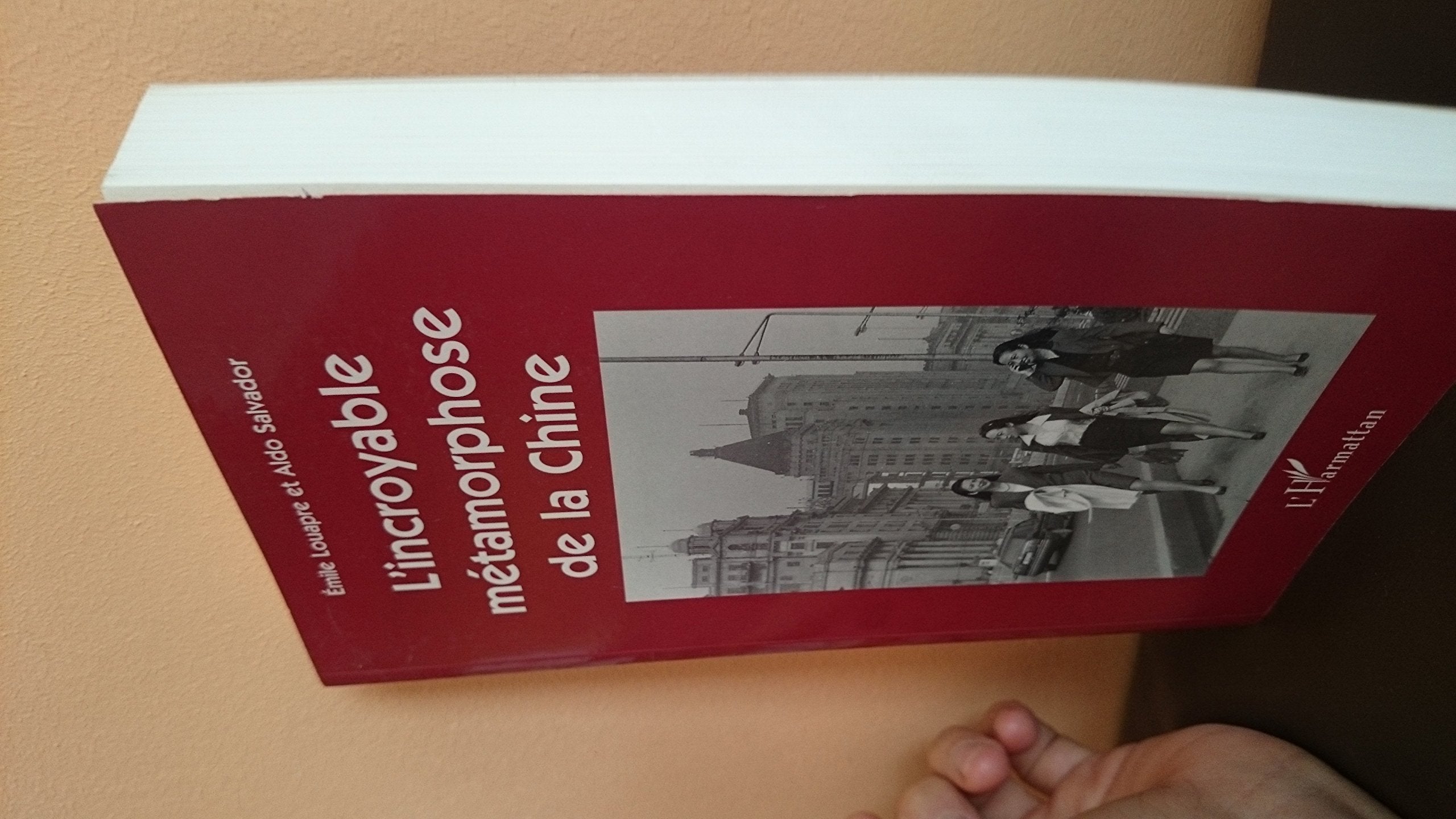 Incroyable métamorphose de la chine (l') Reference Books