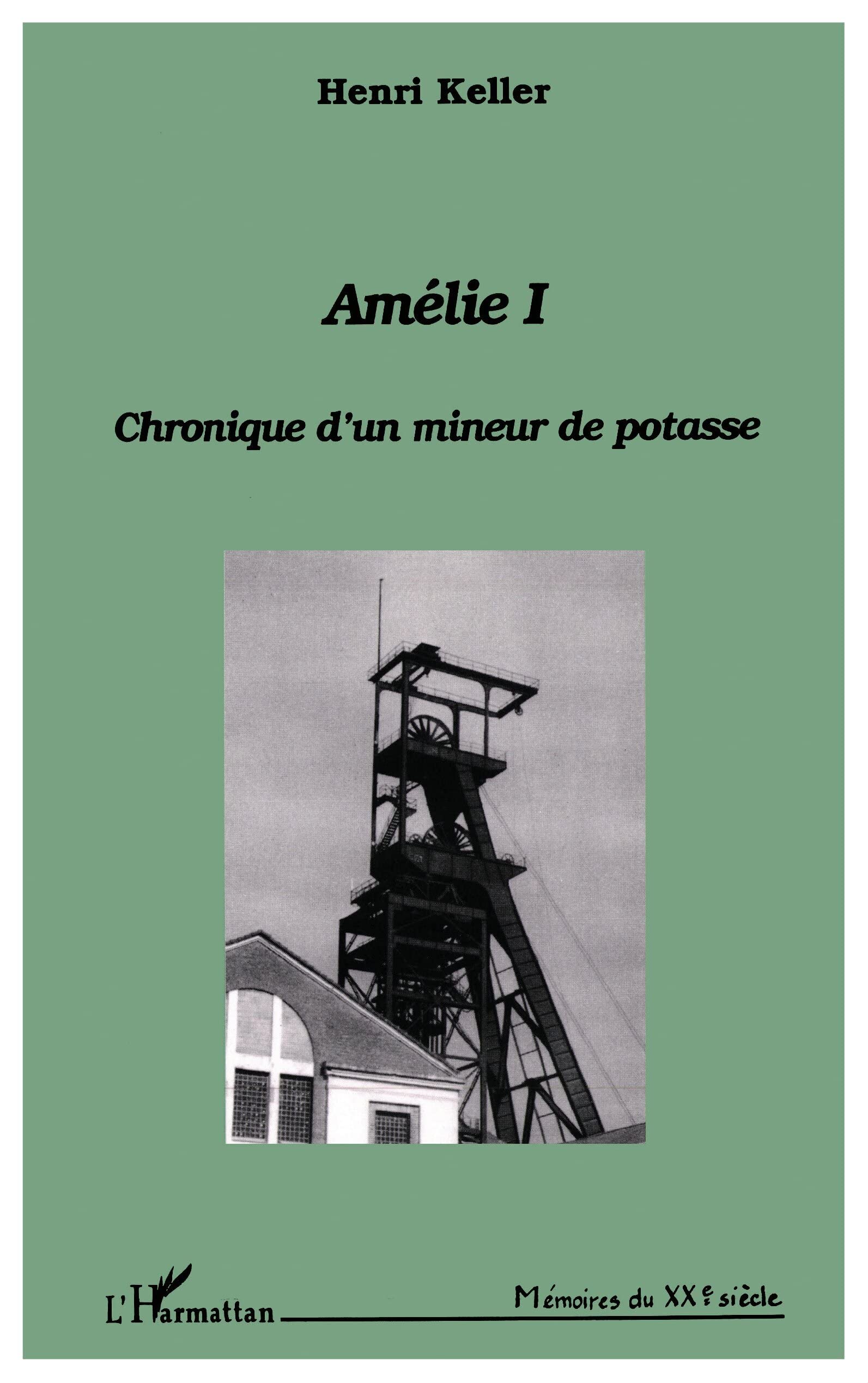 Amelie 1. Chronique d'un mineur de potasse, préfacé par Simone de Beauvoir book