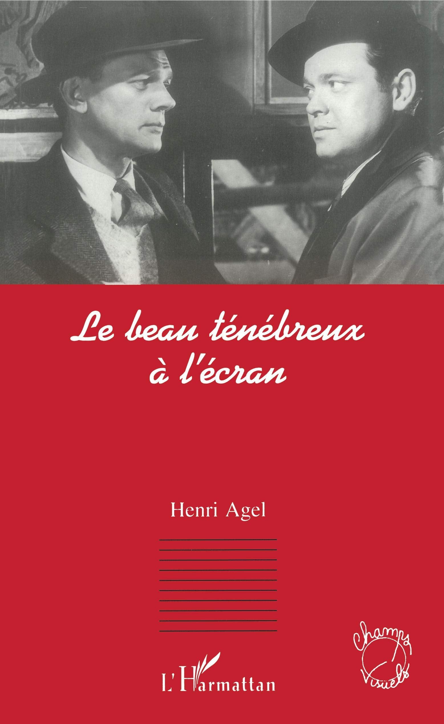 Le beau ténébreux à l'écran book
