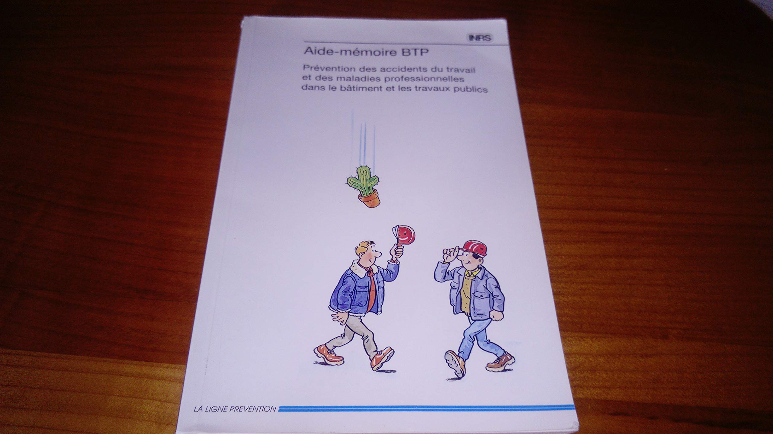 Aide-mémoire du BTP : Prévention des accidents du travail et des maladies professionnelles dans le bâtiment et les travaux publics Books