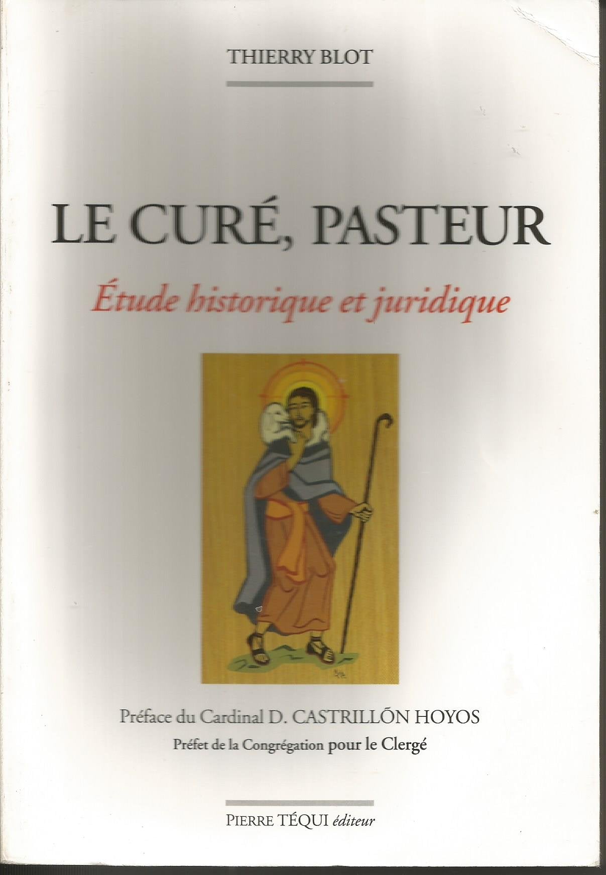 Le curé, pasteur:des origines à la fin du XXe siècle : étude historique et juridique book