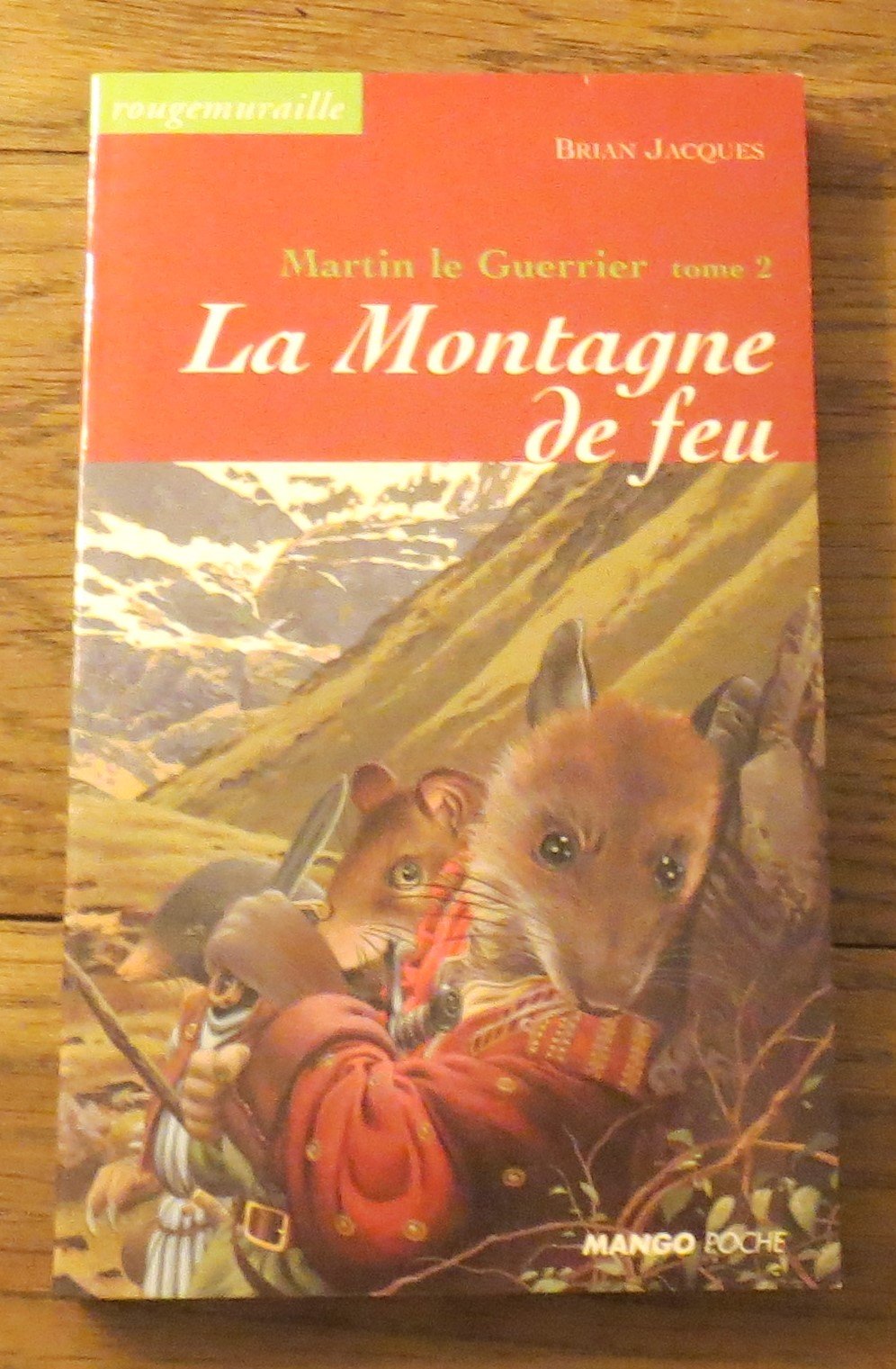 La montagne de feu: Martin le Guerrier - Tome 2 book