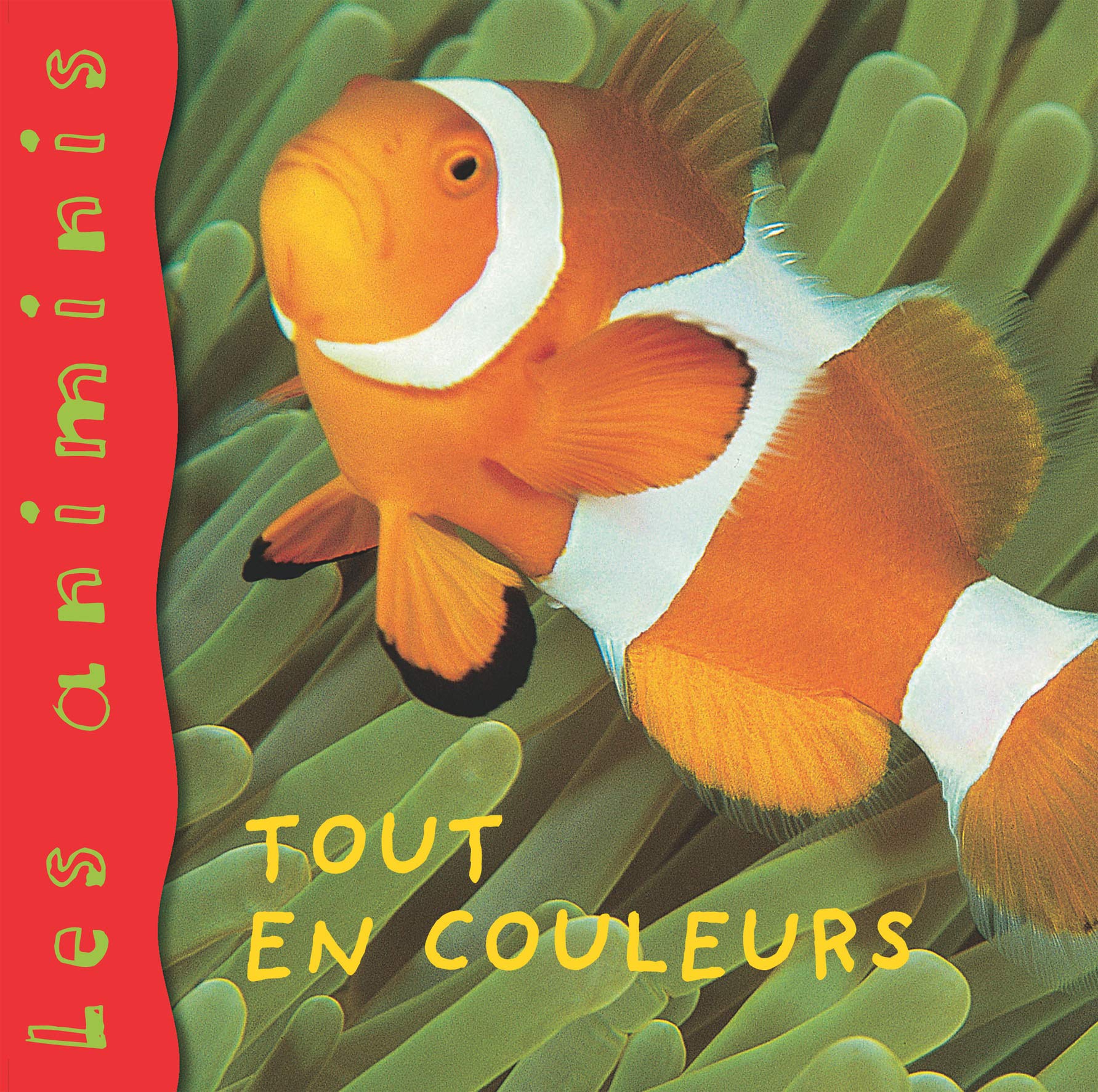 Les Animinis : Animaux colorés book