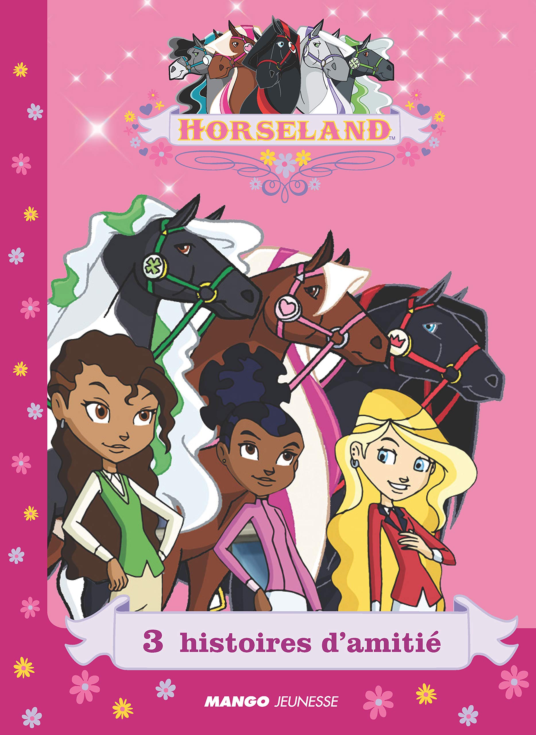 3 histoire d'amitié (Une amitié en danger, le concours, le correspondant de Rosa) Leisure & Fun
