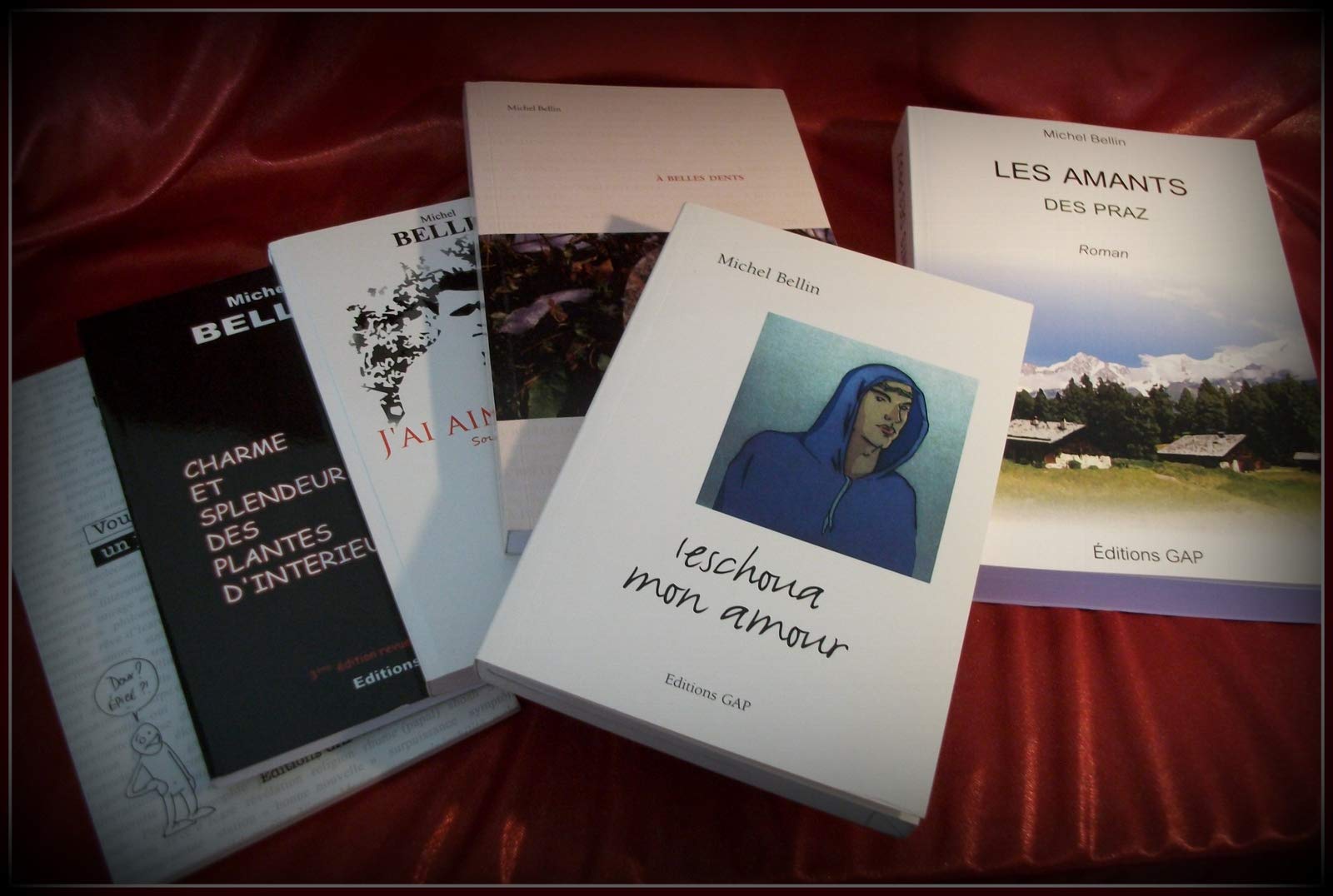 CHARME ET SPLENDEUR DES PLANTES D’INTÉRIEUR Nouvelles érotiques gays book