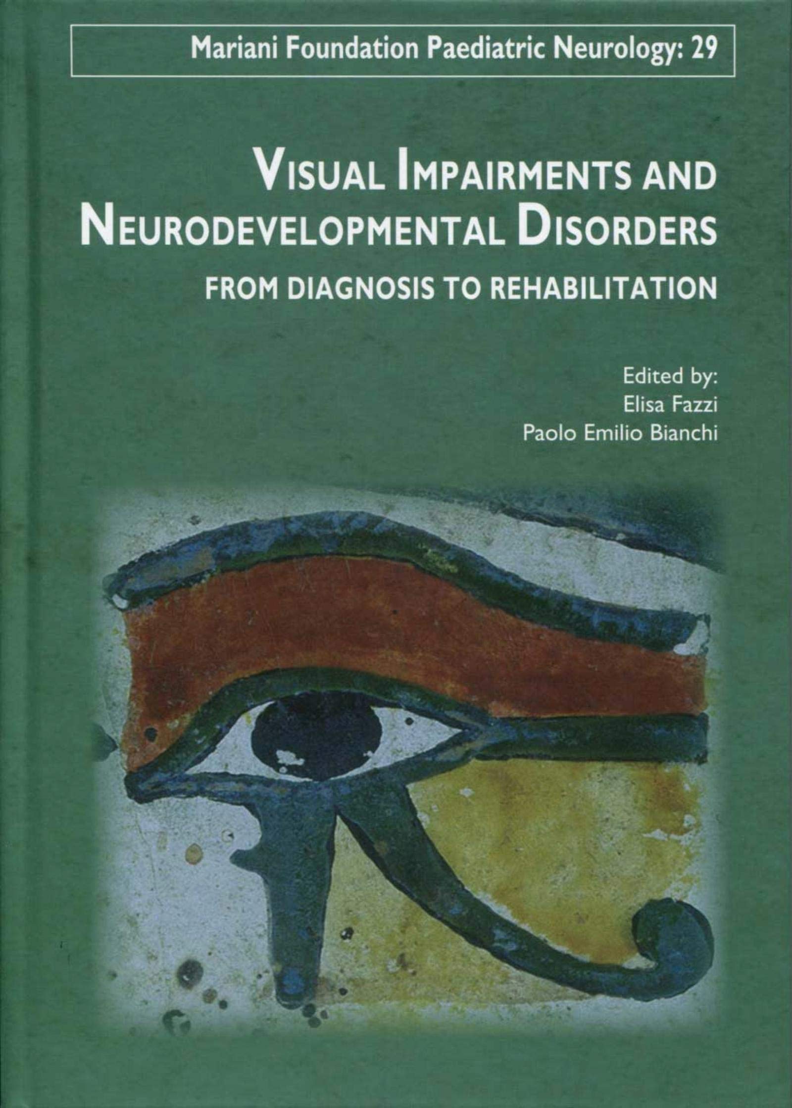 Visual impairments and neurodevelopmental disorders: From diagnosis to rehabilitation. book
