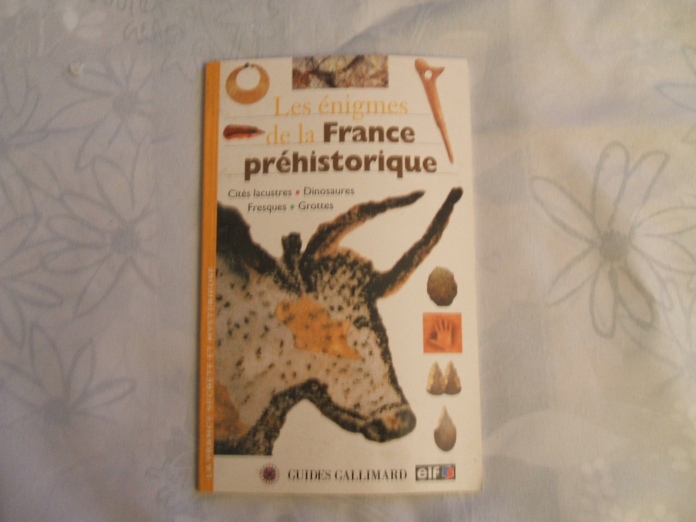 Les Énigmes de la France préhistorique book