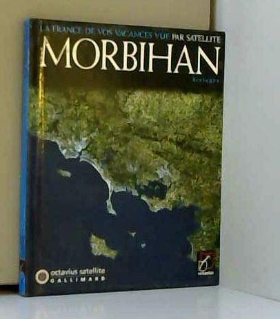 La France de vos vacances vue par satellite: Morbihan Books