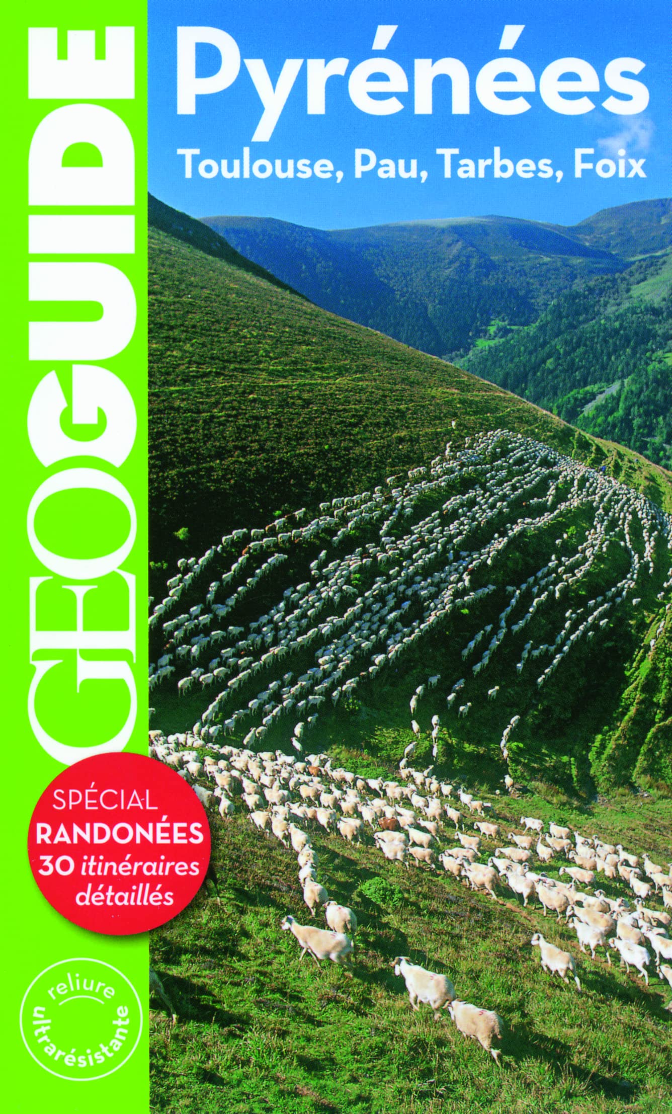 Pyrénées: Toulouse, Pau, Tarbes, Foix book