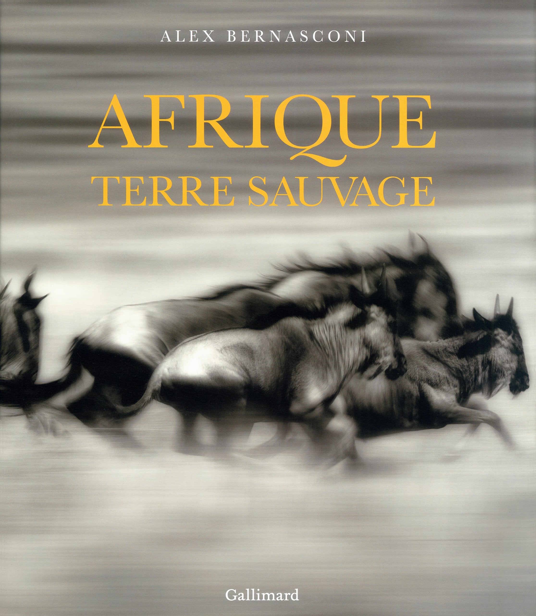 AFRIQUE, TERRE SAUVAGE Leisure, Home & Garden