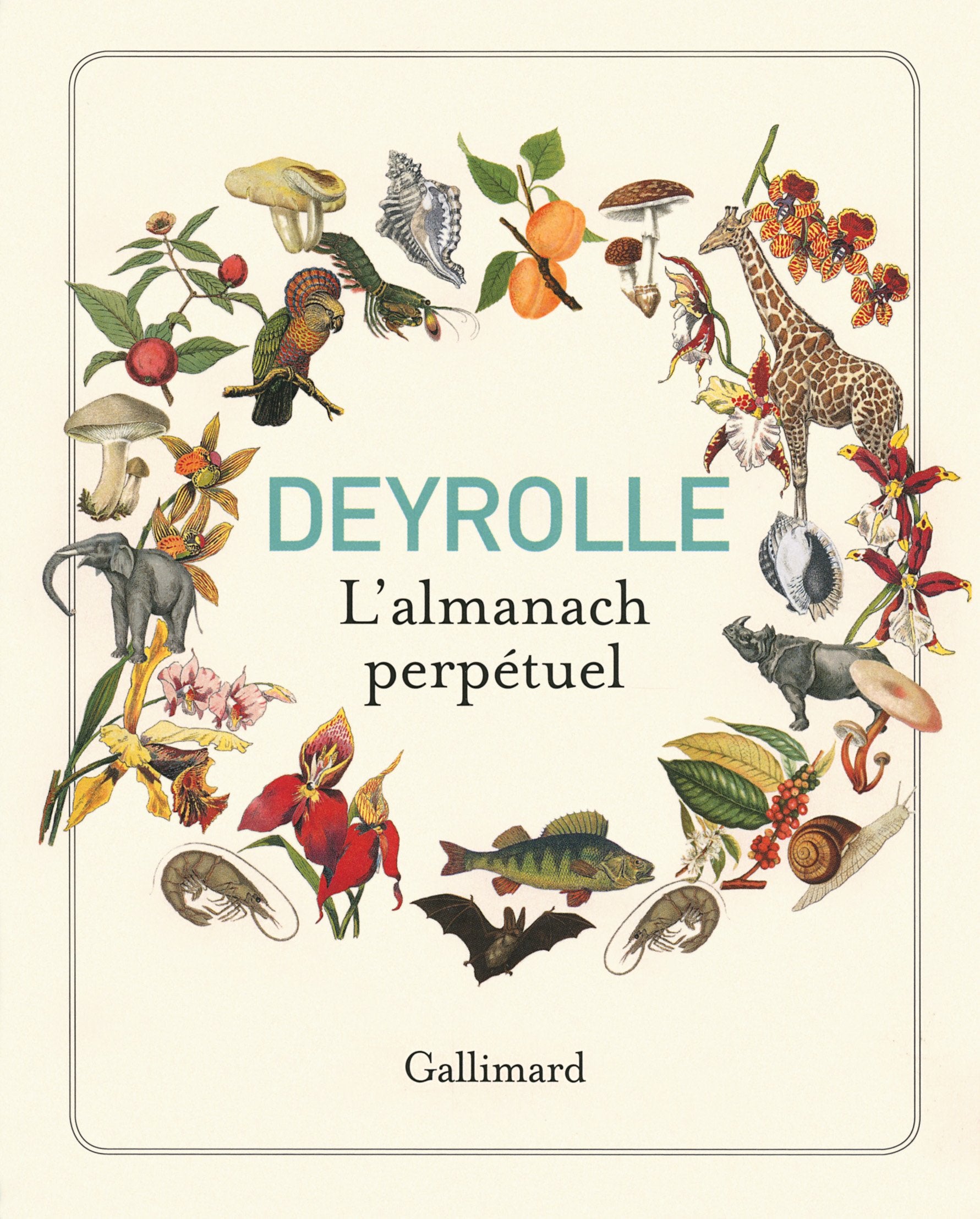 Deyrolle: L'almanach perpétuel book