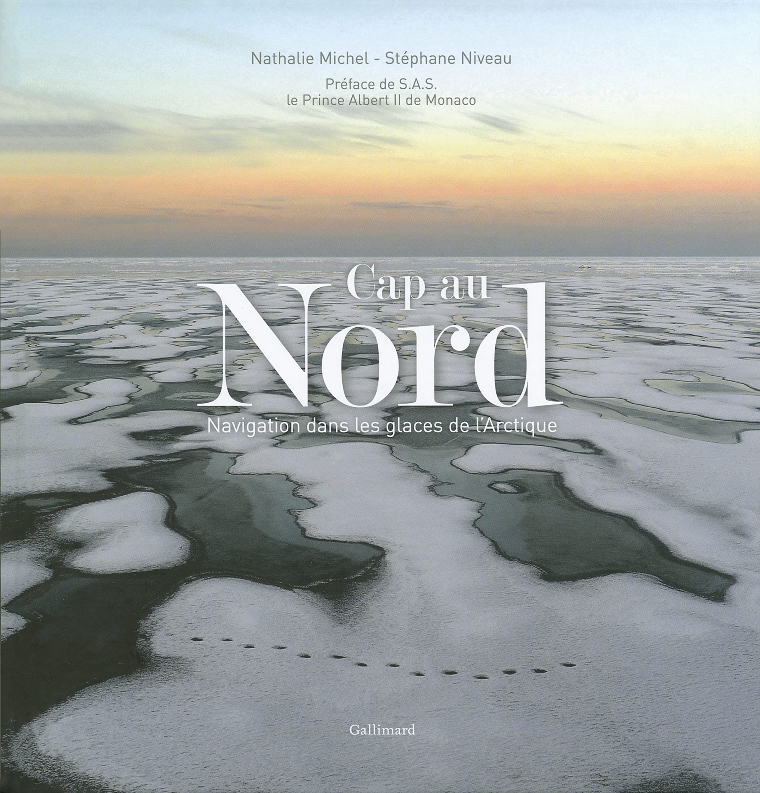 CAP AU NORD: NAVIGATION DANS LES GLACES DE L'ARCTIQUE Film, Art & Culture