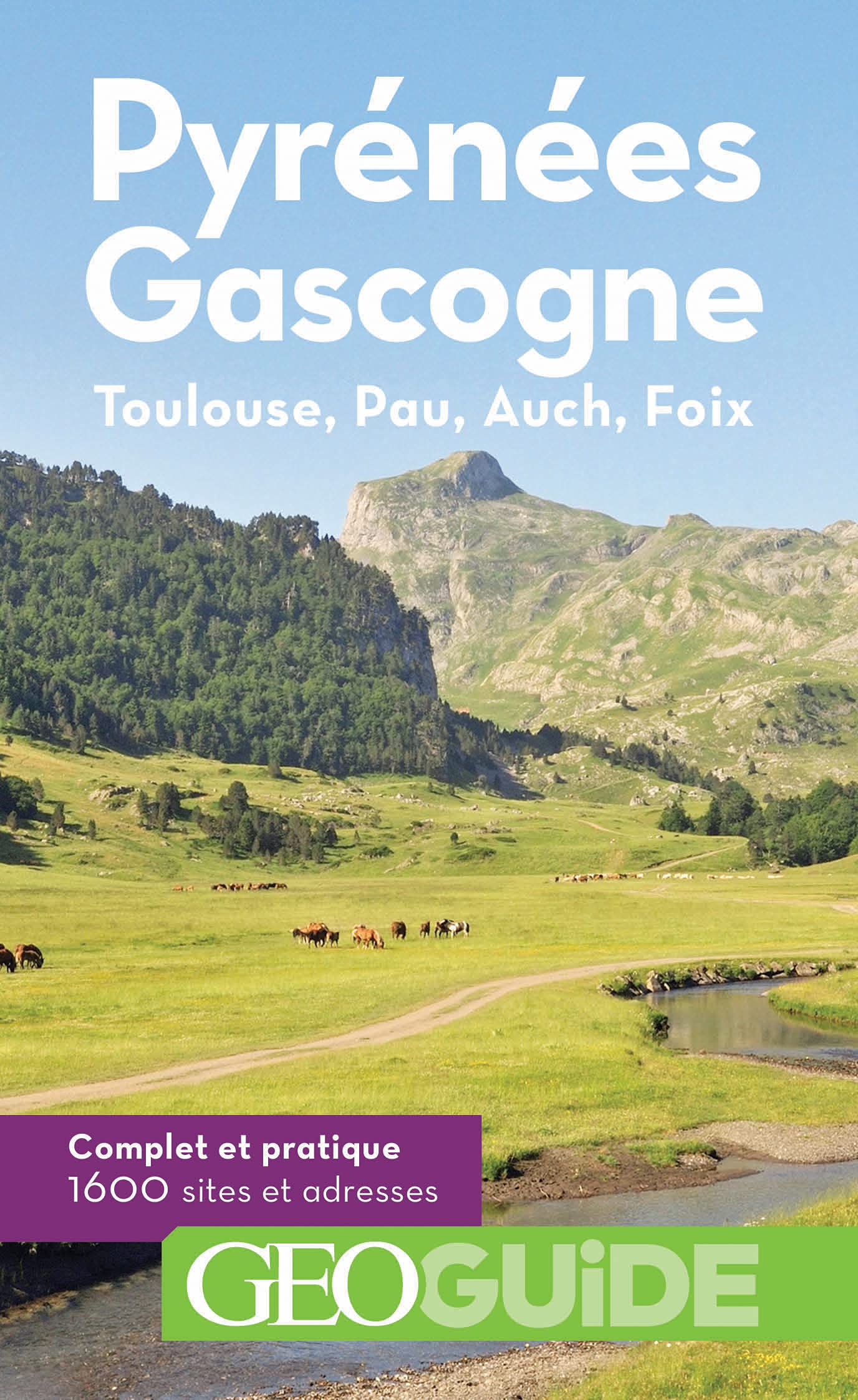 Pyrénées Gascogne: Toulouse, Pau, Auch, Foix book