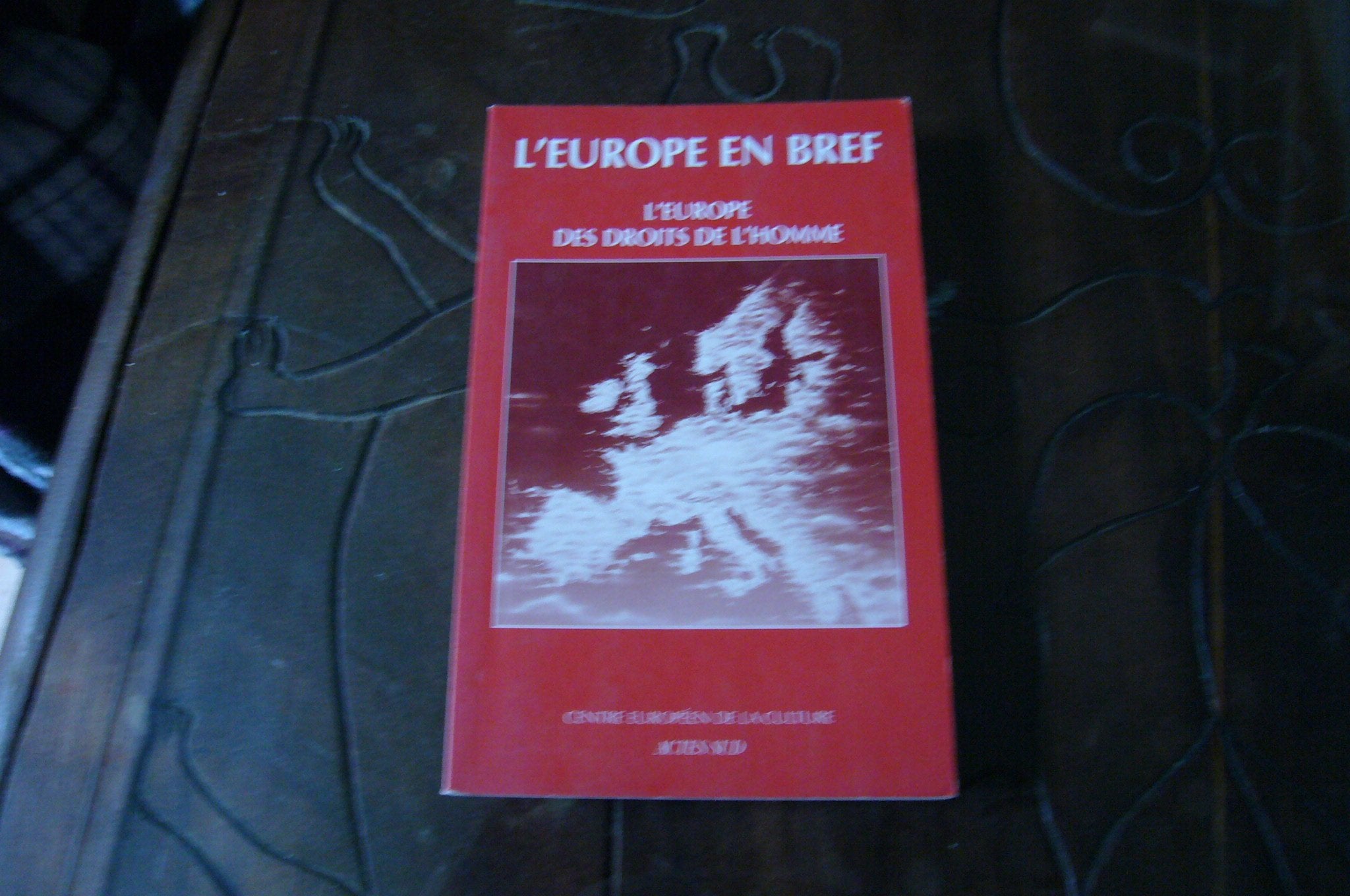 L'Europe des Droits de l'Homme book