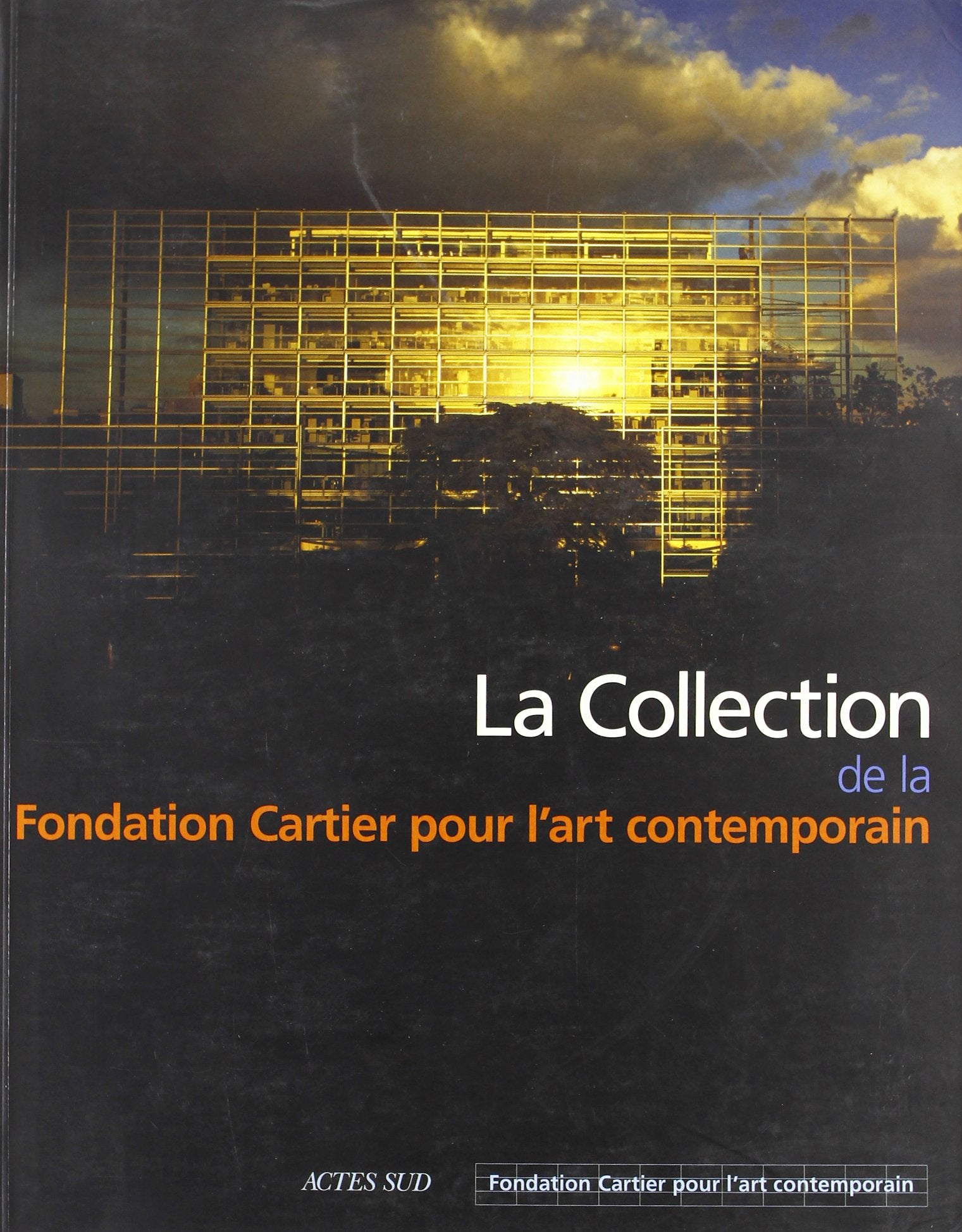 La Collection de la Fondation Cartier pour l'art contemporain Film, Art & Culture