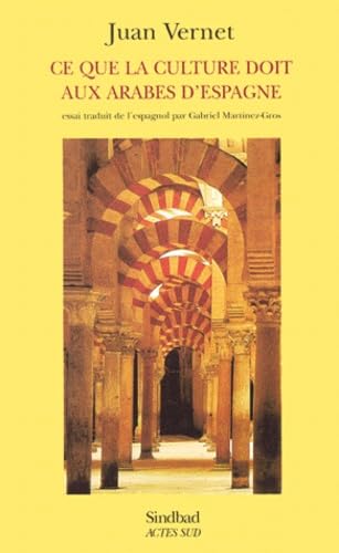 Ce que la culture doit aux Arabes d'espagne Contemporary literature