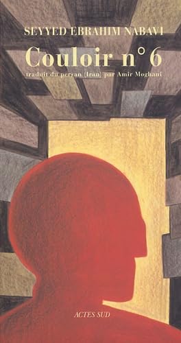 Couloir n° 6: Carnets de prison Contemporary literature