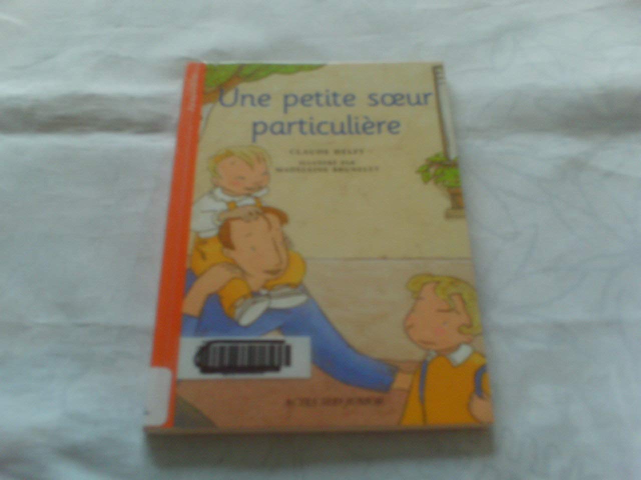 Une petite soeur particulière - fermeture et bascule vers 9782742770052 book