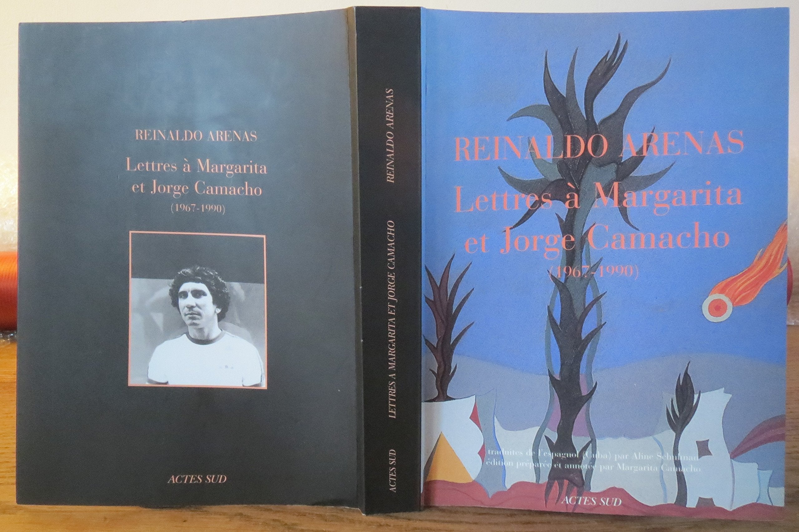Lettres à Margarita et Jorge Camacho: 1967-1990 Essays & Short Stories