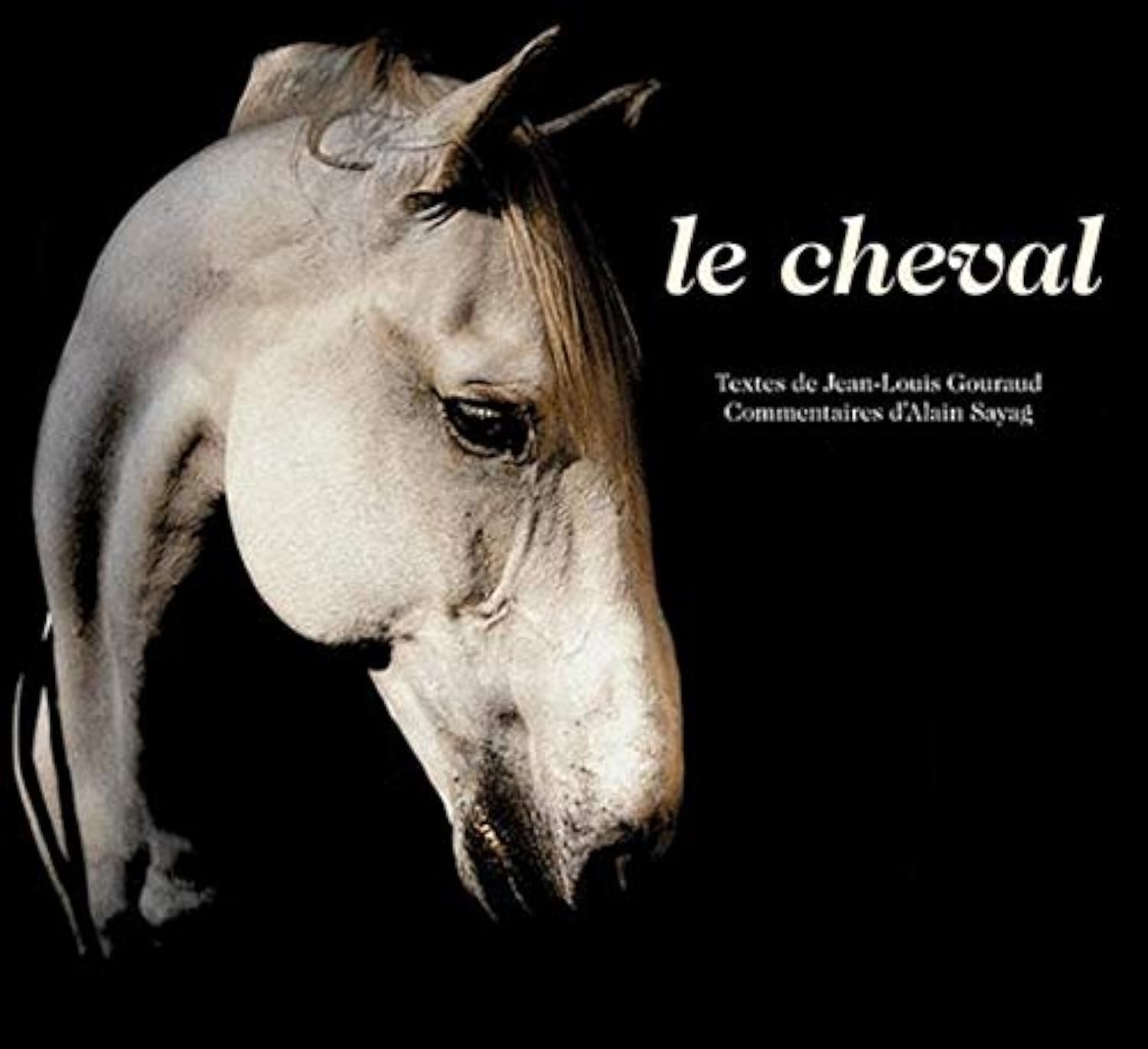 Le Cheval: Essentiellement Film, Art & Culture