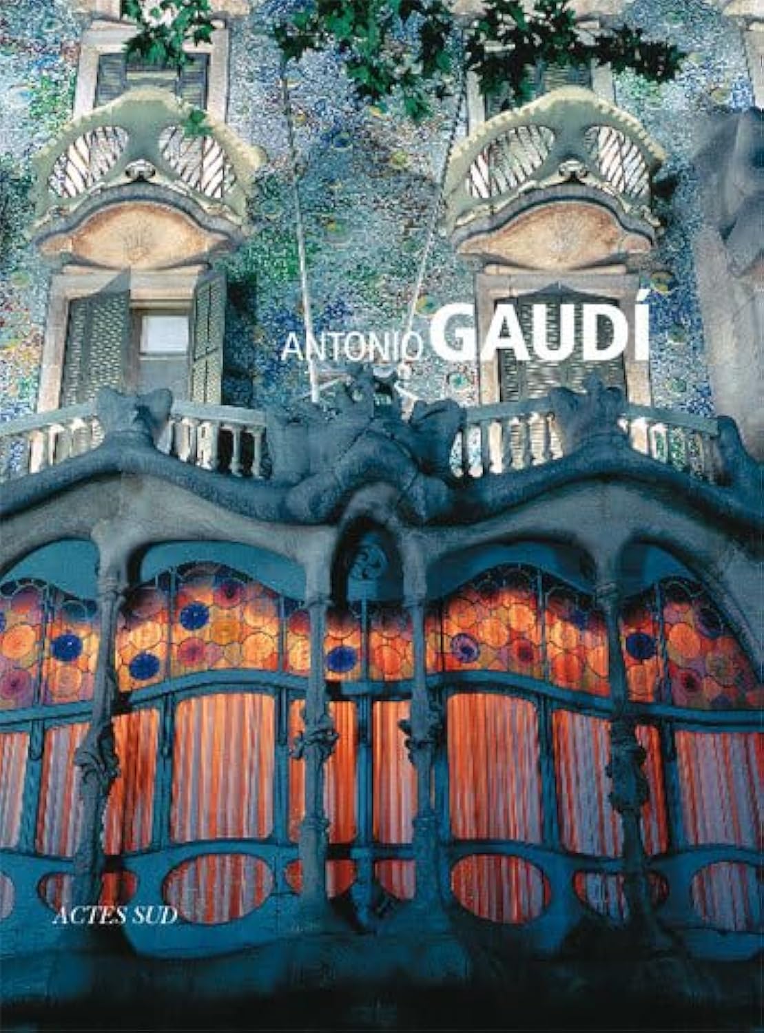 Antonio Gaudi book