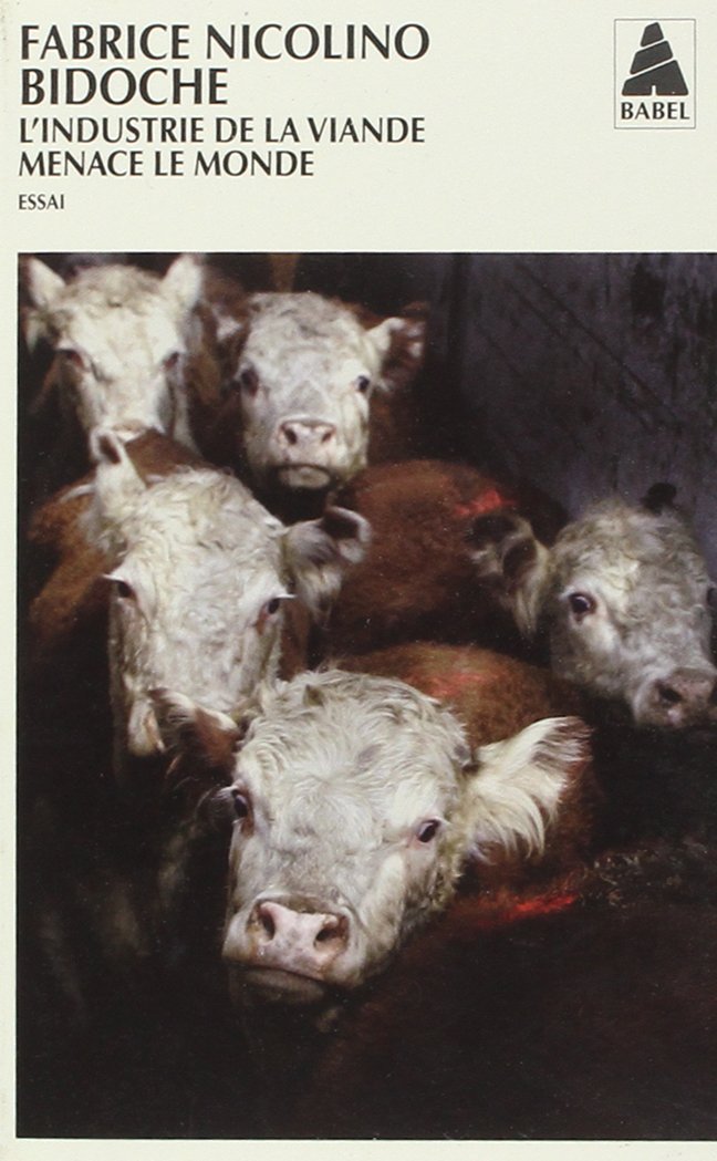 Bidoche: L'industrie de la viande menace le monde Contemporary literature