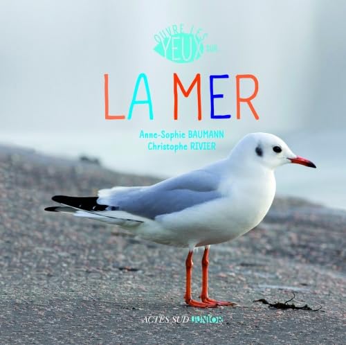 Ouvre les yeux sur la mer Children's books