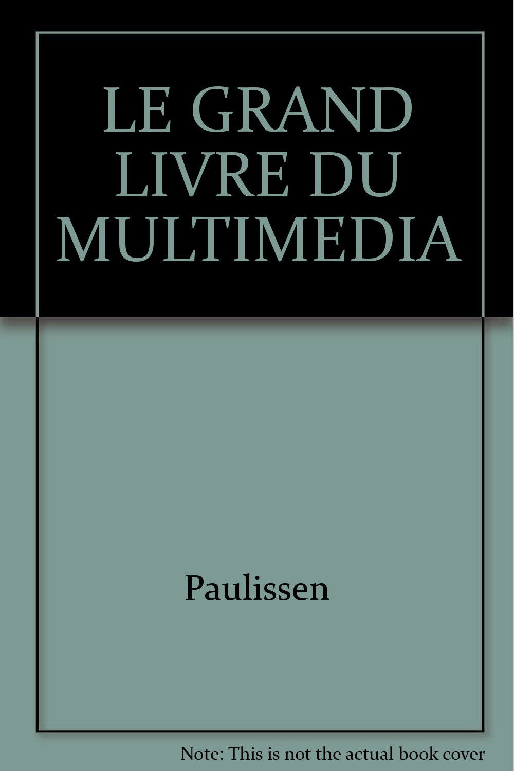 Le Grand Livre Du Multimedia book