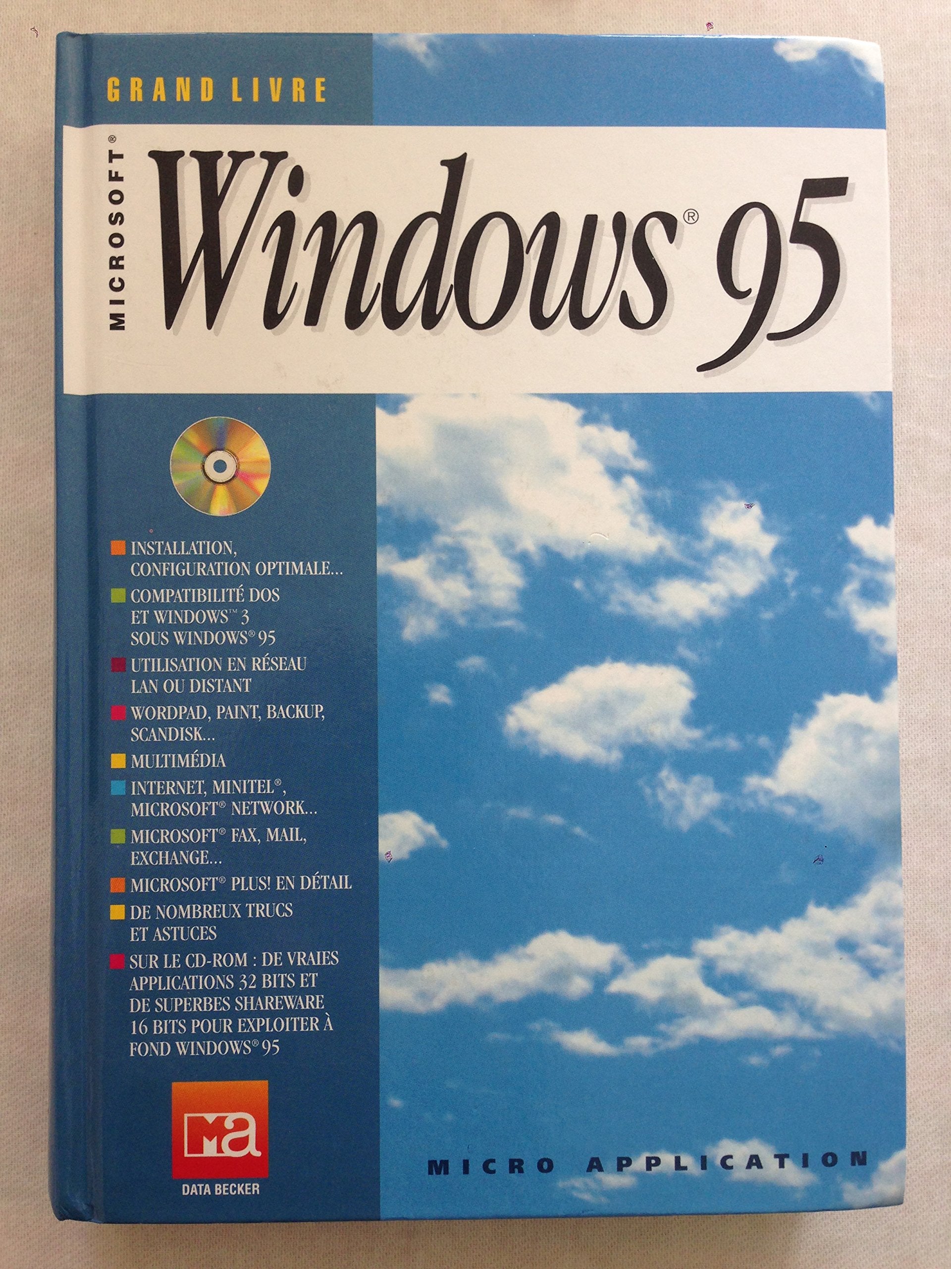 Grand Livre Windows 95 book