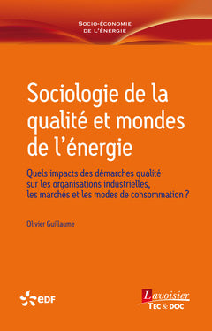 Sociologie de la qualité et mondes de l'énergie : quels impacts des démarches qualité sur les organisations industrielles, les marchés et les modes de consommation ? book