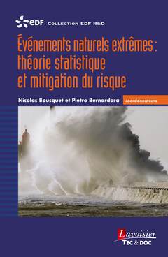Evénements naturels extrêmes : théorie statistique et mitigation du risque Leisure, Home & Garden