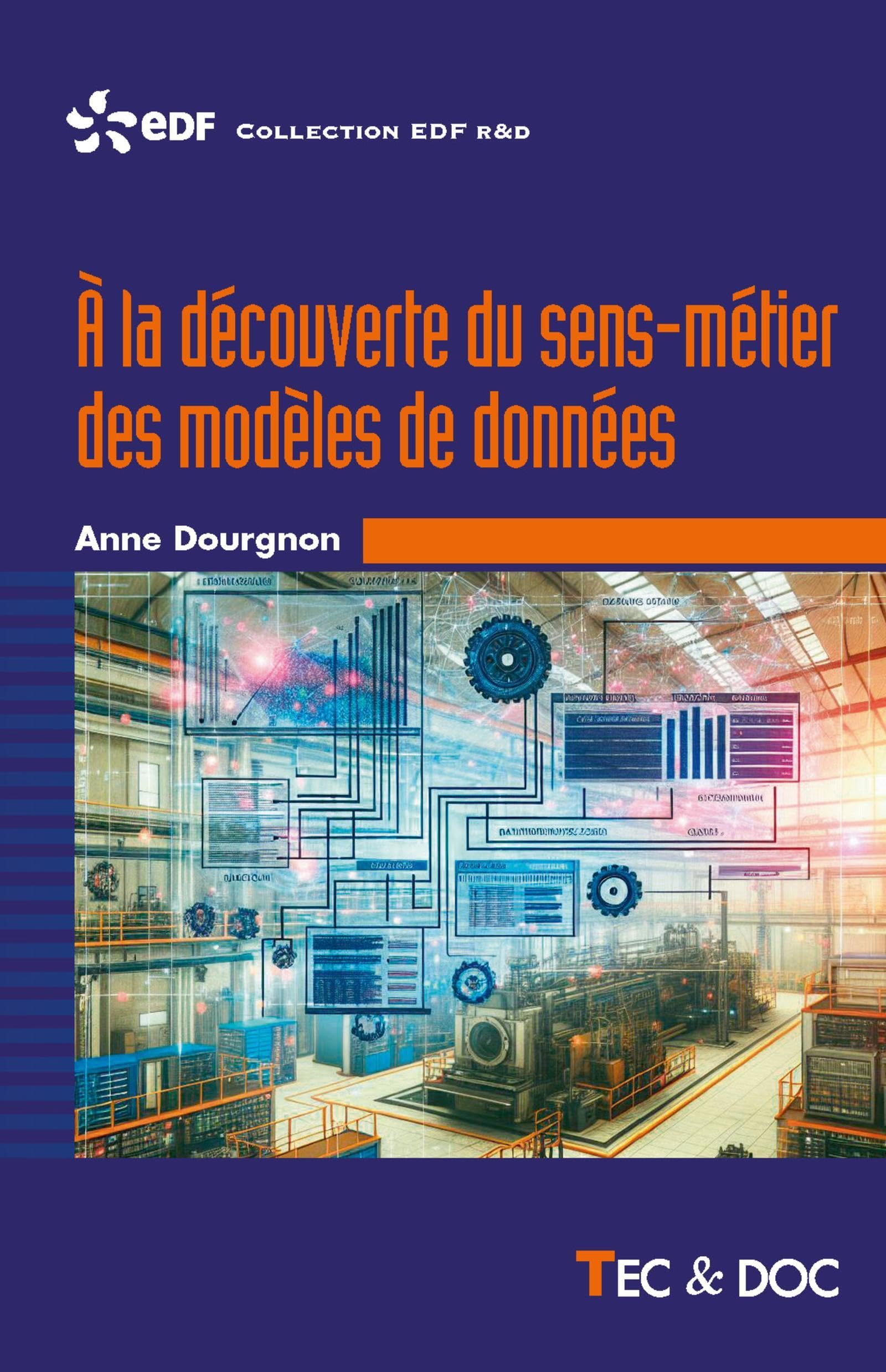 À la découverte du sens-métier des modèles de données book