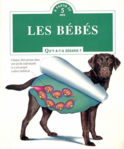 Les bébés qu'y a-t-il dedans ? A partir de 5 ans book