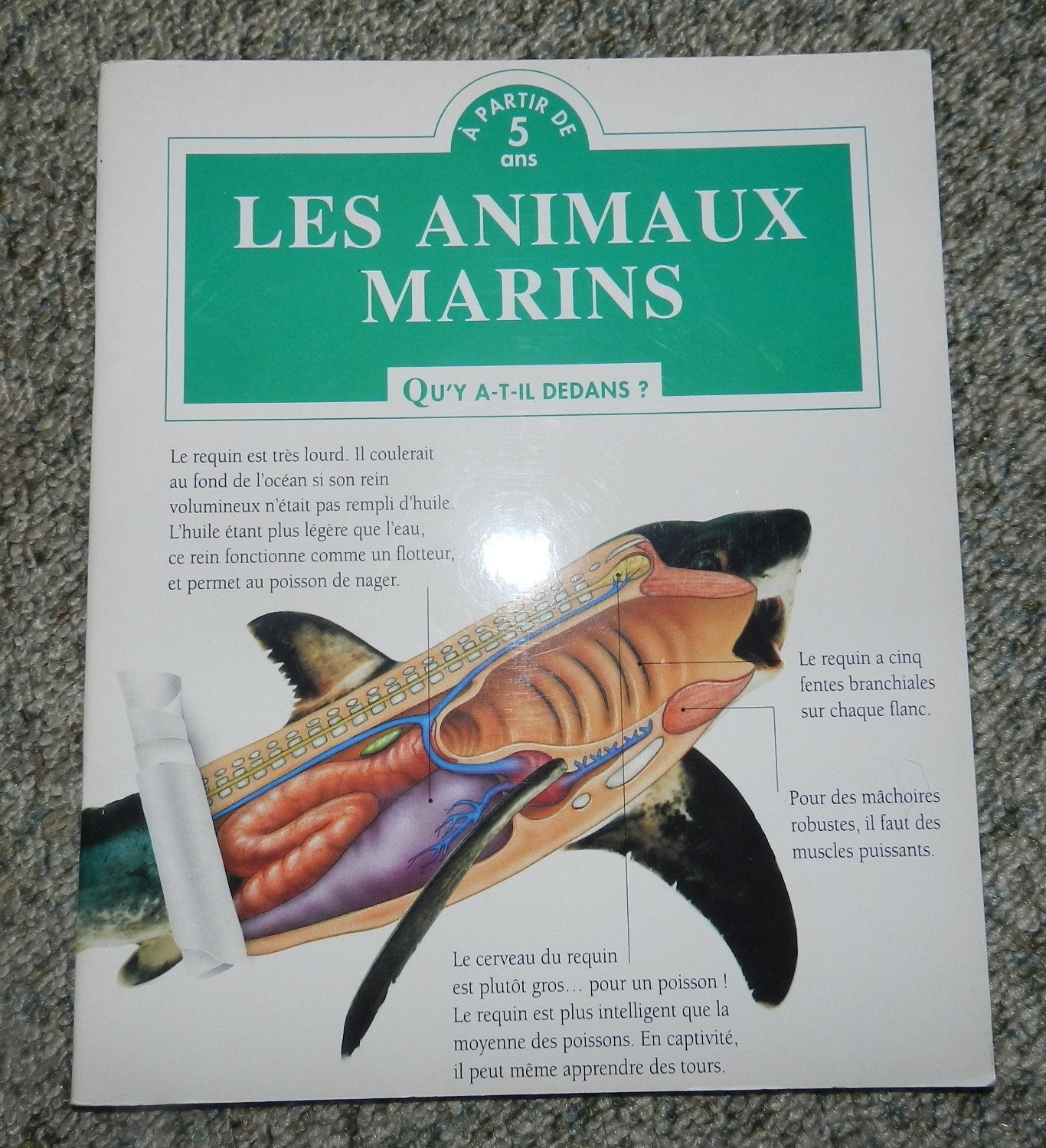 Les animaux marins (Qu'y a-t-il dedans) book