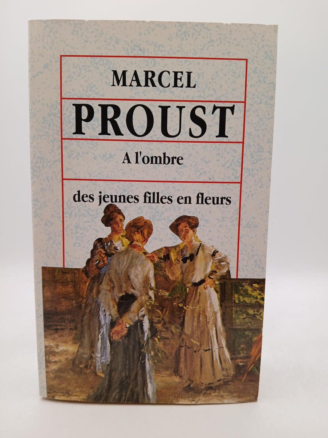 A l'ombre des jeunes filles en fleurs book