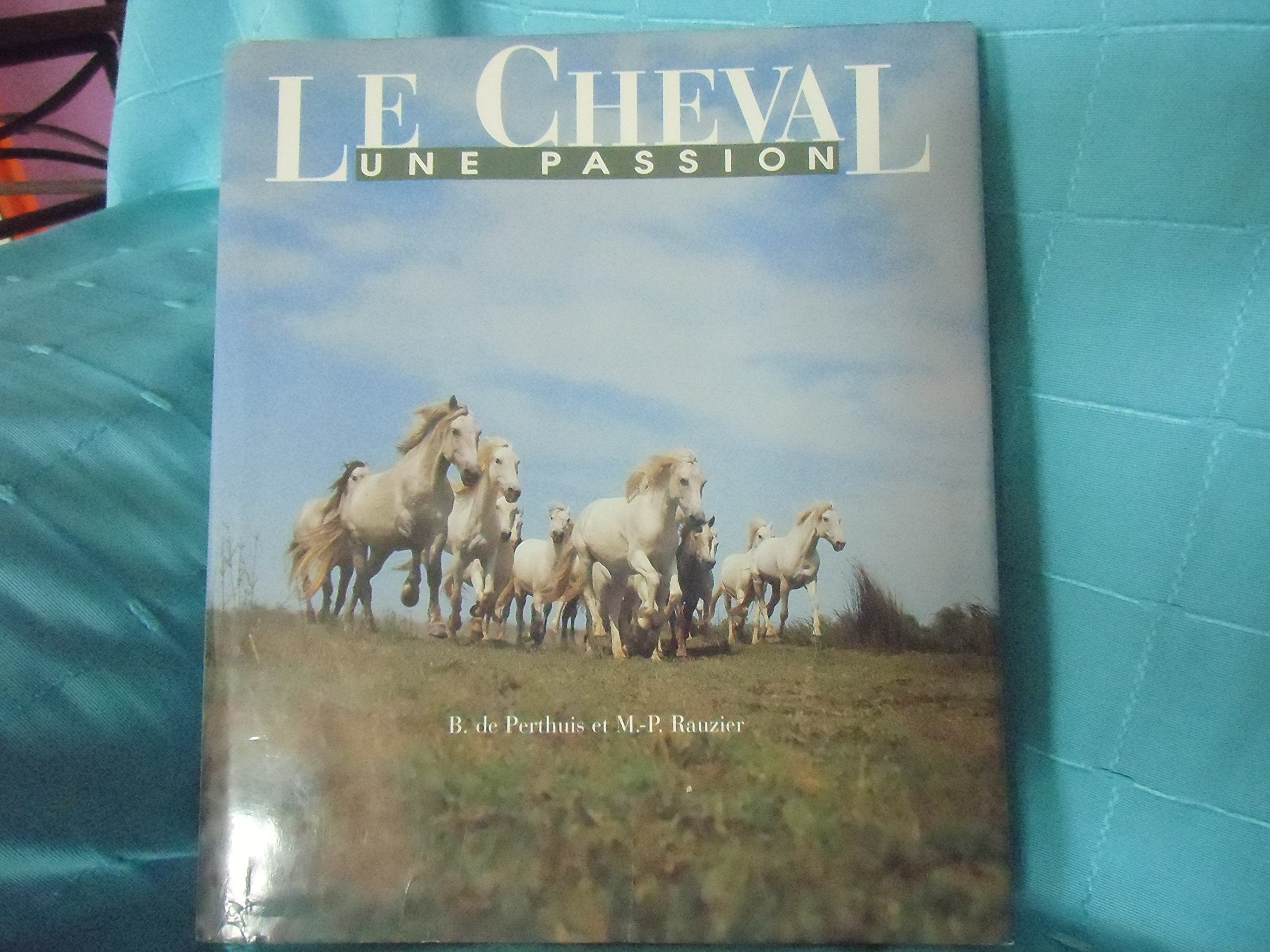 Le cheval - une passion - equitation sur poney - les classes de decouverte - equitation en club - sport intensif et formation - les concours - le tourisme equestre - le dressage - l'attelage - les loisirs sportifs - le cheval chez soi book